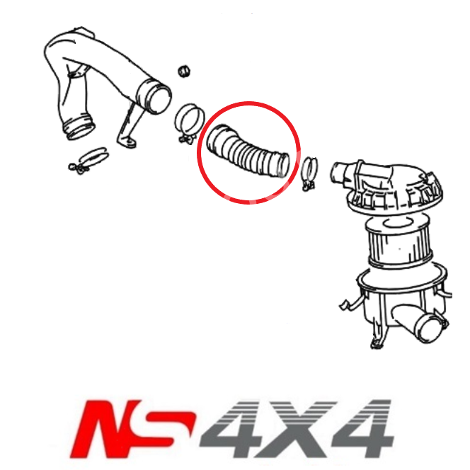 Ns4x4